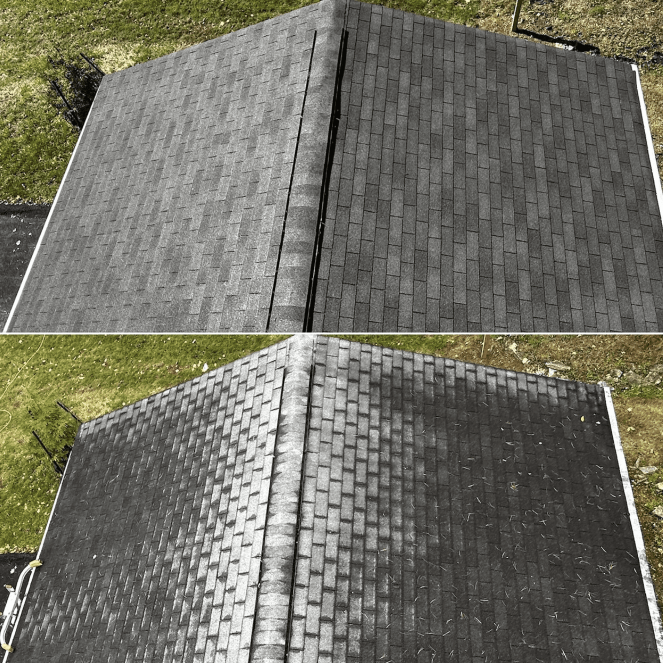 Aerial before-and-after roof rejuvenation showing cleaner, restored asphalt shingles